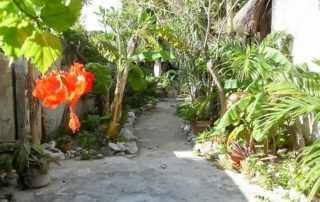 Oasis Escondido Lost Oasis Vacation Rentals Isla Mujeres Apartment